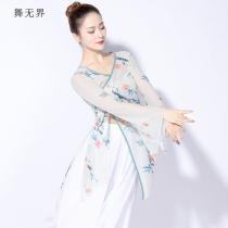 Dance Unbounded 2021 New Summer Classical Dance Top Womens Net Gaun Printing Folk Dance Practice Clothes