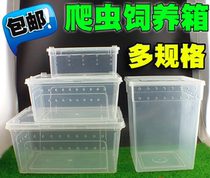 Scum BOX REPTILE BOX CLIMBING pet CRAWLING PET FEEDING BOX PALACE GUARD BOX SPIDER SCORPION BAO WEN LIZARD ONE-HORNED FAIRY SNAIL