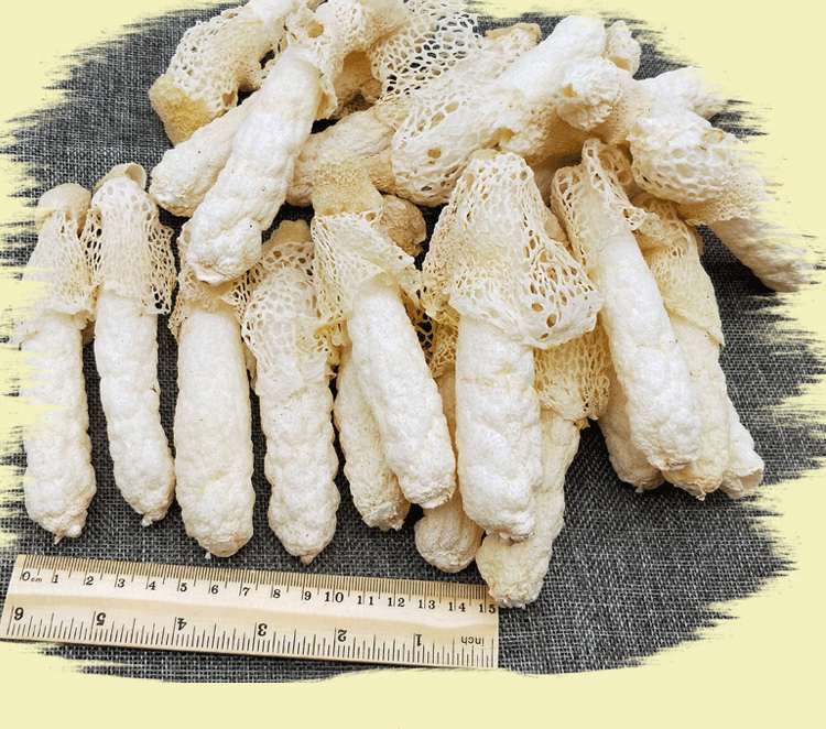 贵州土特产织金竹荪竹笙竹参仿野生干货特级无硫短裙