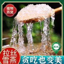 Brussels Snow Swallow Flagship Store Quality Non 500g Wild Natural Extra Dragon Beard Burmese Soap Corner Rice Peach Gum