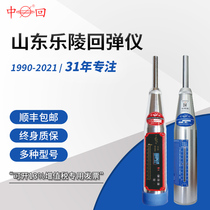 Leling high-strength rebound tester concrete compressive steel bar detector ZC3-A mechanical digital display carbonization depth tester