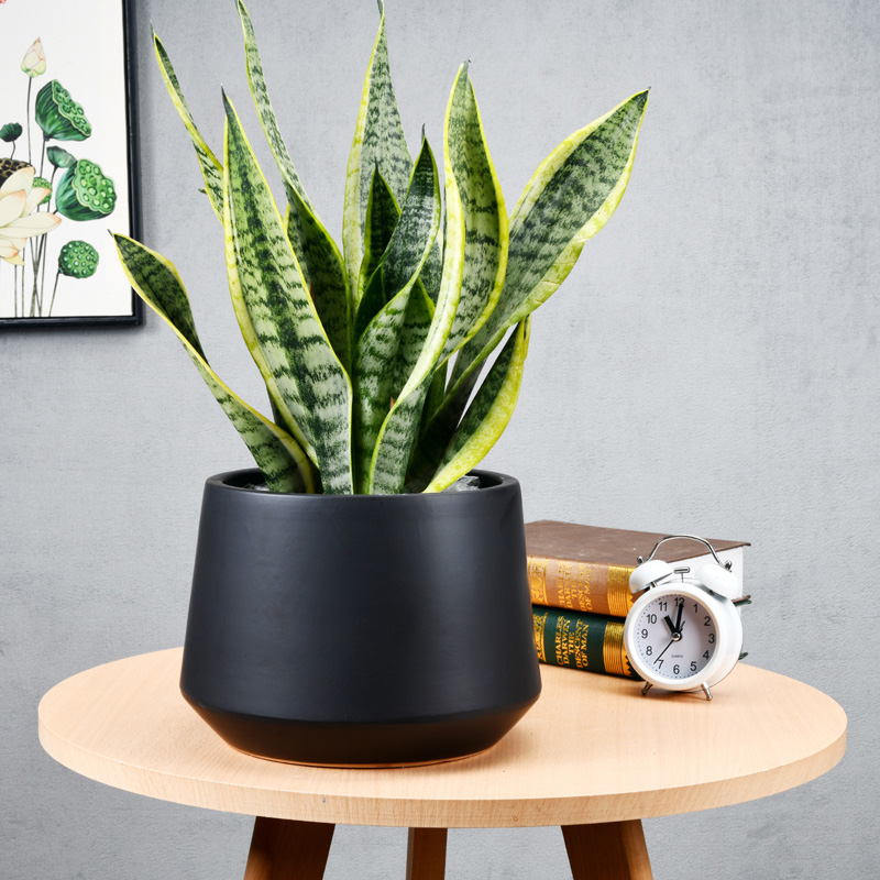 Geometric flowerpot ceramic oversized bag mail European contracted desktop money plant flower pot FaYa polychromatic light easy collocation