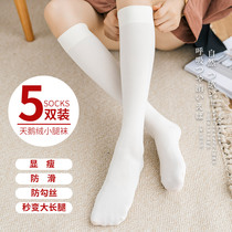 Black socks children spring and autumn thin stockings Korean stockings female summer midbar instir white pressure calf socks