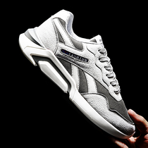 Summer breathable Mens shoes autumn sports shoes mens casual shoes young shoes mens Korean version of the trend Joker board shoes trendy shoes