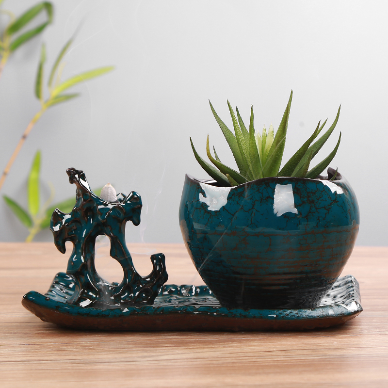 European green plant furnishing articles potted asparagus calamus basin of chlorophytum furnishing articles old running the ceramic vase ceramic flower POTS, fleshy