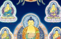 Seven treasures such as a multi-baby winning streak such as coming to a wide and terrifying fear of coming to the manna such as coming to Amitabu Buddha