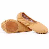 Soft-soled practice shoes Chinese dance classical dance Belly dance shoes Shoes Female adult body ballet shoes Cat claw shoes
