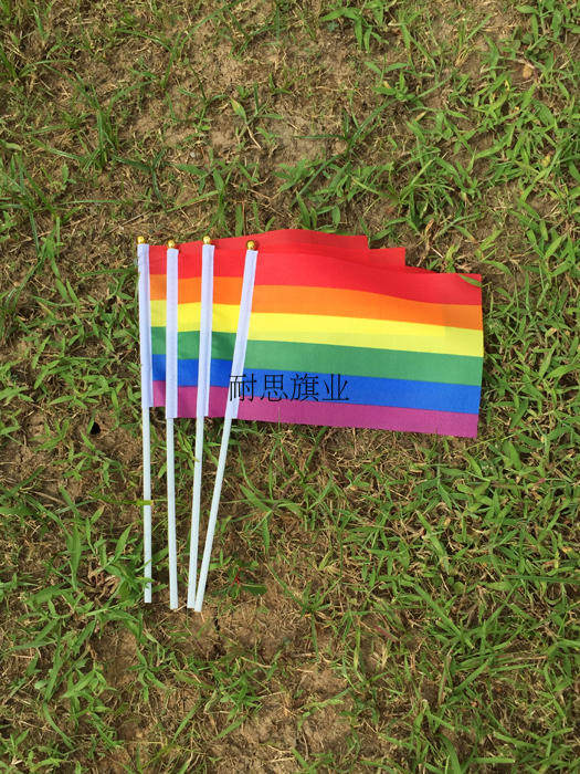 8号14*21cm彩虹旗 手挥旗手摇旗 同性恋旗 同志旗 rainbow flag