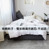 Winter warm yarn-dyed cotton winter quilt single double cotton padded quilt core Japanese cotton four seasons quilt