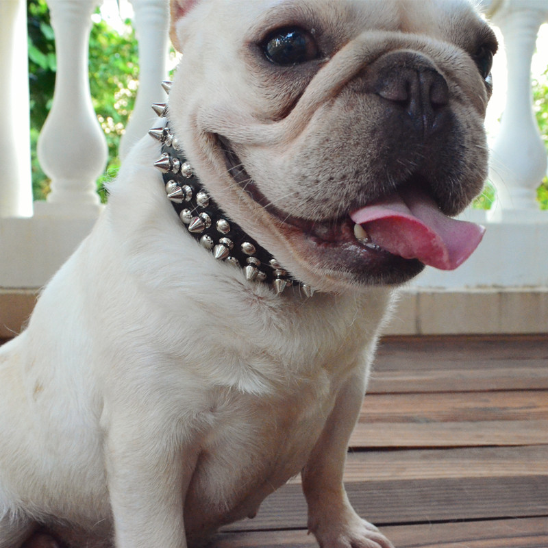 防咬柳丁斗牛犬法斗英斗狗狗项圈