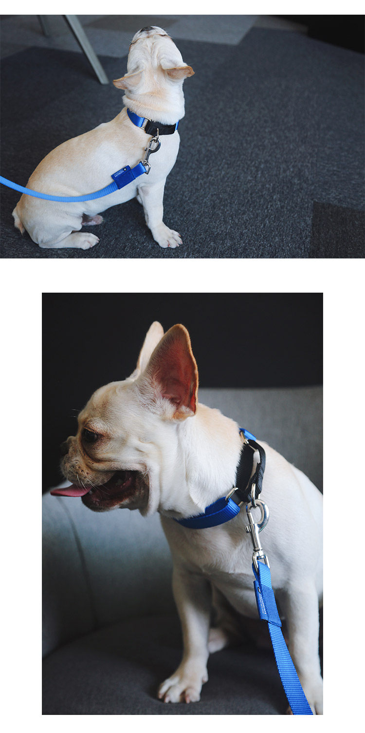 hidream | 撞色可缓冲狗项圈 设计师款小中大型犬尼龙防爆冲狗圈