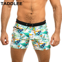 TADDLEE Swimsuit Pants Male 50% Pants Air Tide Cards Loose Mens Swimsuit Spa Speed Dry Anti-Awkward Swim Pants