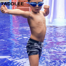 TADDLEE boys swimsuit children swimming trunks for children children toddler Korean mens treasure swimsuit quick-dry Sports
