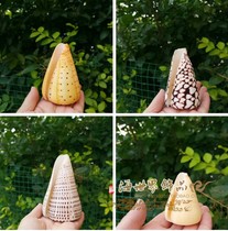 Natural conch shell Marble Taro snail Hermit crab Roll shell Fish tank Landscaping aquarium decorations Rare specimens
