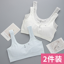 Girls' Underwear Developmental Vest Girls' 9-12 Girls' Elementary School Junior 16 Year Old Girls' Bra