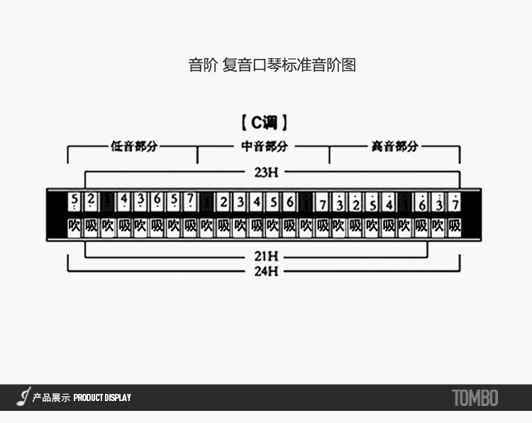 【通宝tombo专卖店】21孔初学入门儿童成人演奏复音口琴 6621_7折现价