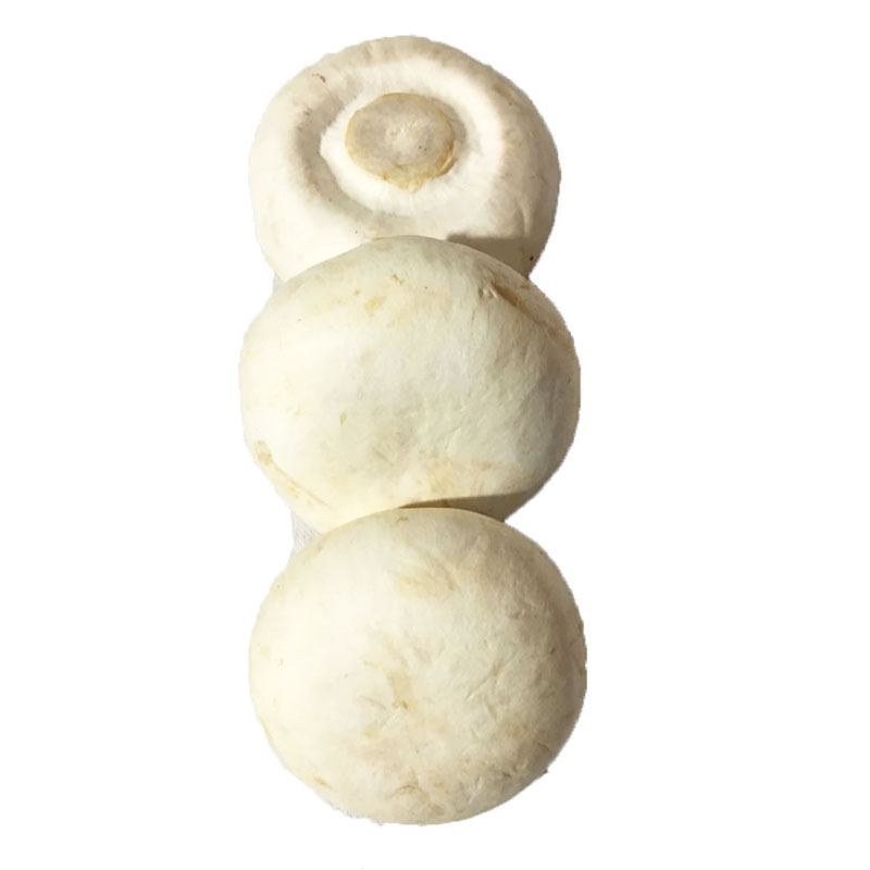 mushroom fresh edible mushrooms fresh white mushrooms mushroom bisporus fresh vegetables and hot pot ingredients 500g