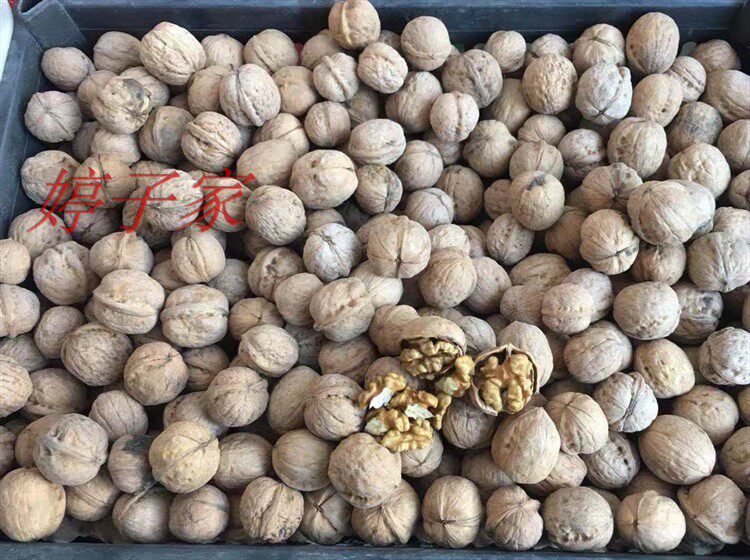 山西农家自种老树笨核桃绵核桃原生态本地面核桃无加工薄皮500g