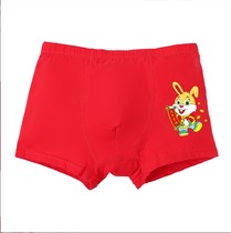 children's big red underwear lycra cotton big boy fat student zodiac year 12 belongs to rabbit zodiac year 13 boys boxer