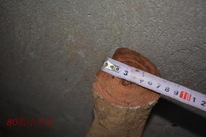 缅甸白酸枝 奥氏黄檀 巴厘黄檀 国标红木红酸枝