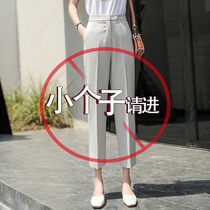 Small man 150cm suit pants spring and autumn casual straight tube ankle-length pants high waist slim loose small foot pipe pants