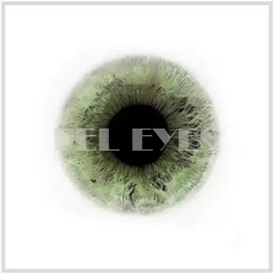 (FEL EYES) (BJD cartoon eye pressure eye) Deep Hitomi series