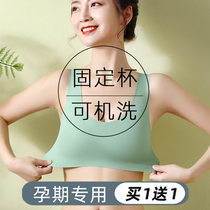 Pregnant women's underwear special fixing cup vest-free and comfortable mammal bra does not run cup