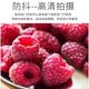 소니 셔터 케이블 원격 제어 마이크로-스글 카메라 A9M3 A6000 A6000 A7R5 A7M3 A7M4 블랙 카드 7 RX100M6 A7RII A7R4A ZV-1 A6100 A6600 소니 셔터 케이블 원격 제어 마이크로-스글 카메라 A9M3 A6000 A6000 A7R5 A7M3 A7M4 블랙 카드 7 RX100M6 A7RII A7R4A ZV-1 A6100 A6600