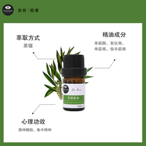 Tea Tree Oil Unilaterally Essential Oil Facial Massage Essential Oil Plant Essential Oil