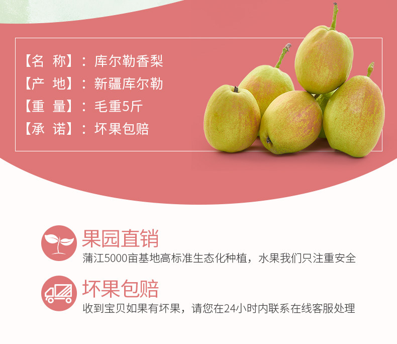 黛碧 新疆香梨 5斤装 18.9元包邮