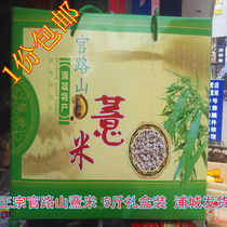 Pucheng barley authentic official road mountain barley Fujian small barley glutinous thick coix rice seed five Jin gift box new goods