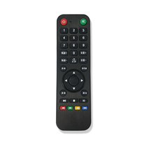 TV remote control display