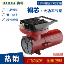 Healy ACO12v Oxygenation Pump Battery On-board Transport High Power Outdoor Fishing Oxygen Machine Oxygenation Air Pump Machine