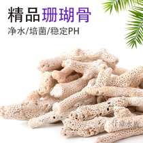 Fish Tank Selected Coral Sand Sandy Bone Filtration Filter Material Water Purification Bacteria House Parallel PH aquarium Scape Bacilli