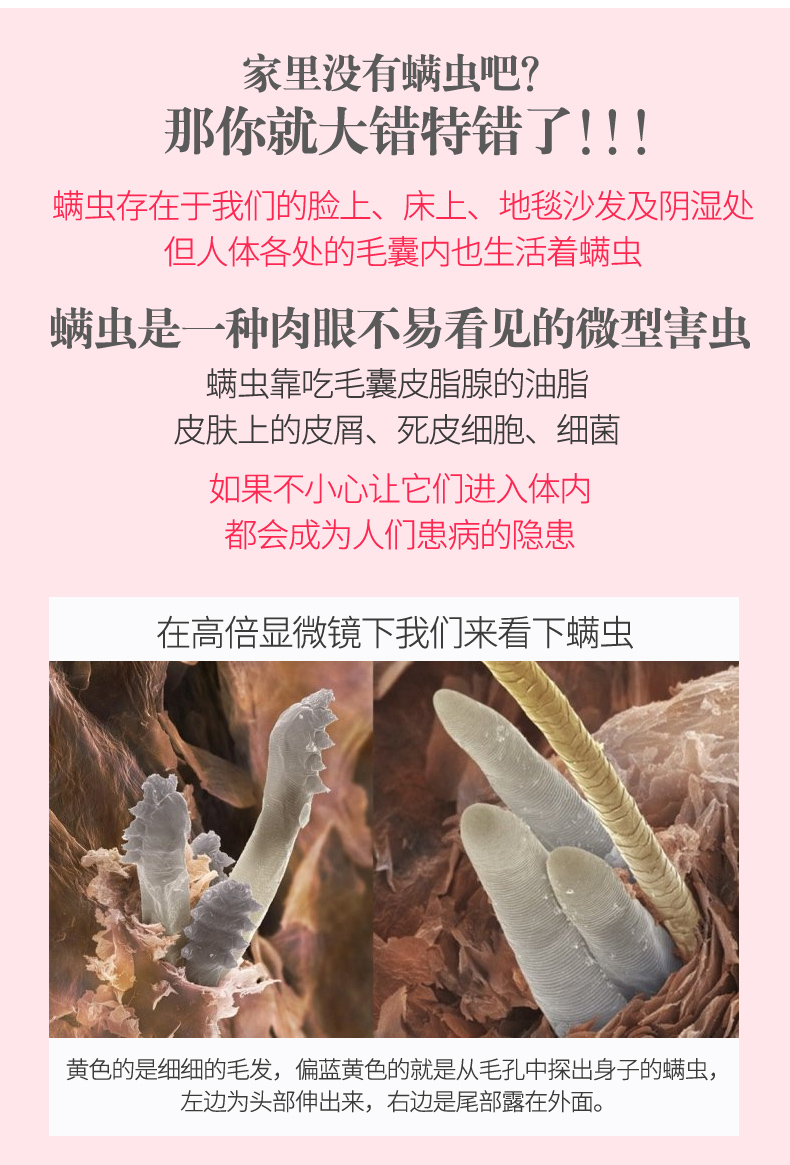 锦怡进口除螨虫贴除螨喷雾祛螨包家用防螨床上除菌除螨帖25包/袋_天天