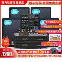 Yamaha professional large-scale stage performance Wedding audio set High-power bar cabaret ktv Family outdoor