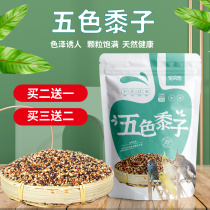 Five-coloured millet mixed grain peony tree peony root-phoenix tiger leather parrot feed bird food and nutrition bird feed grain and bird feed 500g