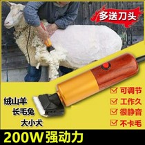 Electric wool cut electric scissors shaved wool with electric pushback High power haircut machine wool sheen electric pushback