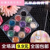Nail Art Shell Piece Japanese Irregular Shell Paper Shard Shell Powder Glass Nail Art Full $15 Shipment