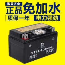 Women's Booster 125 Motorcycle Battery 12v7ah Neptune Lying Eagle Dry Battery Free Maintenance YTX7A-BS