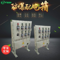 IIC explosion-proof power lighting distribution box maintenance power outlet box Explosion-proof switch button wiring control cabinet