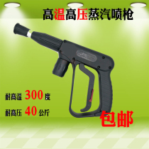High temperature and high pressure steam car washing spray gun Washing range hood car cleaning film cleaning household boiler spray gun