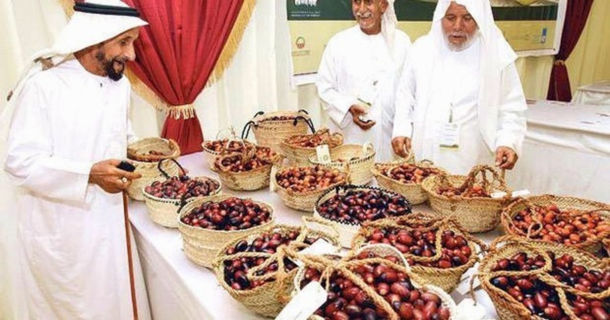 迪拜进口零食阿联酋特级黑椰枣500g*2干果pk新疆特产红枣子无添加