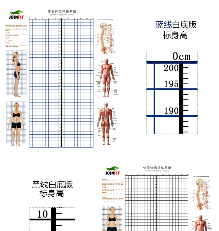 人体体态评估表健身房站姿体态评估图jf私教身体姿态评估系统墙纸