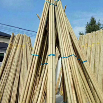 Gardening fence Bamboo pole vegetable garden set up bamboo fence monthly climbing rattan White bamboo purple bamboo Pastoral decoration Bamboo