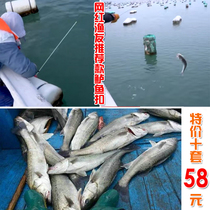 Afeng catch-up sea fishing rod net red bass fishing buckle rod Lufish fishing buckle fish hook accessories placement type trap ex-gratia