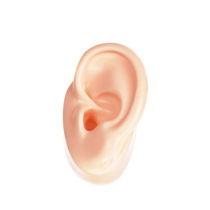 Silicone simulation ear model hearing aid ear display accessories props earplugs headset display supplies