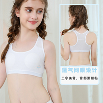 girl puberty vest 9-10-11-12-13-15 years old elementary school girl children's bra junior underwear