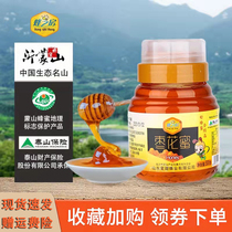 Bees house jujube honey Yimeng mountain pure natural farmhouse self-produced honey crystallized honey 500g bottle