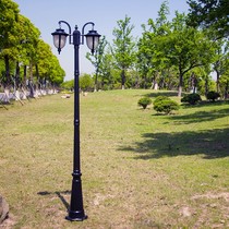 LED Double Head Fishing Eu Style Courtyard Light Park Cell Lawn Streetlight View Lamp Room Outdoor lamp High pole lamp